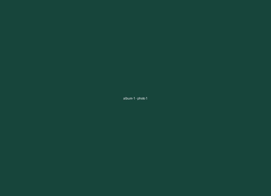 Album 1 cover
