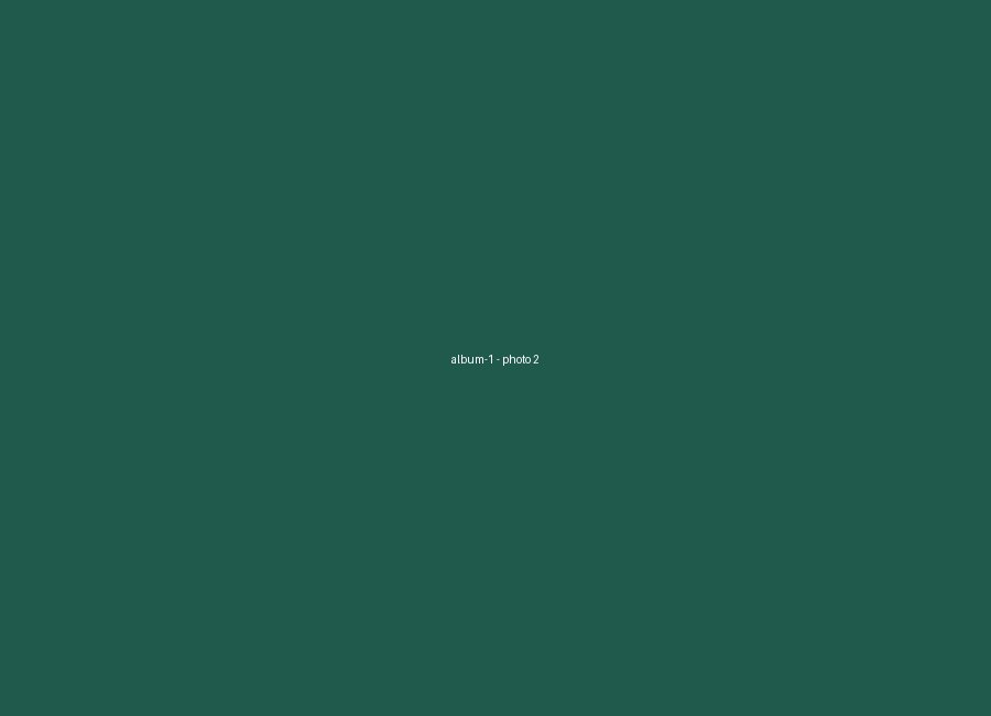 Album 1, photo 2