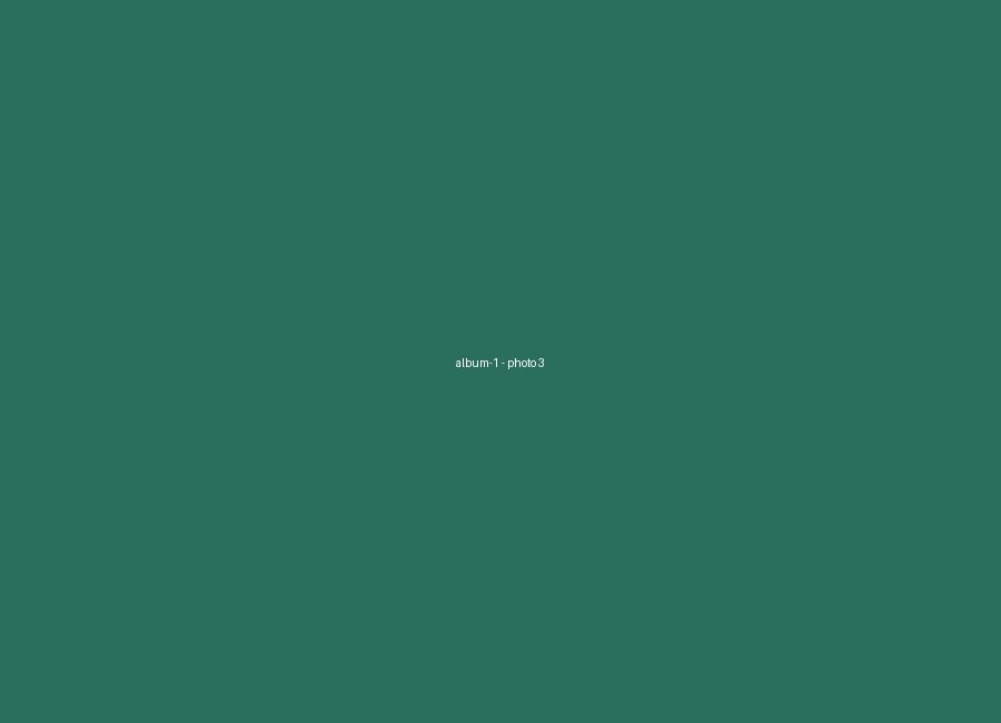 Album 1, photo 3