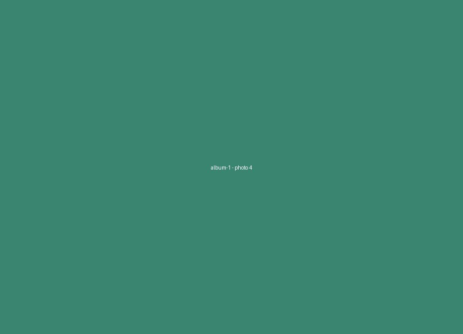 Album 1, photo 4