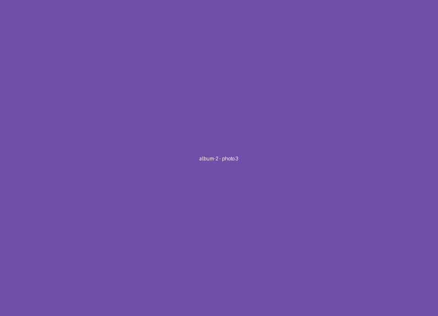 Album 2, photo 3