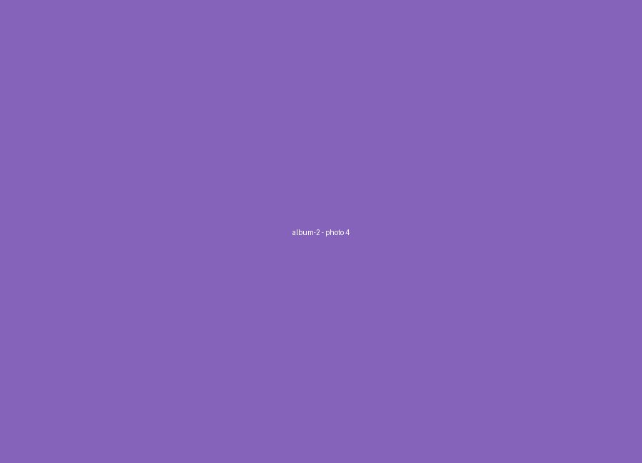 Album 2, photo 4