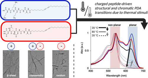 Thermochromic Behavior of Polydiacetylene Nanomaterials Driven by Charged Peptide Amphiphiles