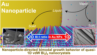Nanoparticle-directed bimodal crystallization of the quasi-1D van der Waals phase, Bi<sub>4</sub>I<sub>4</sub>