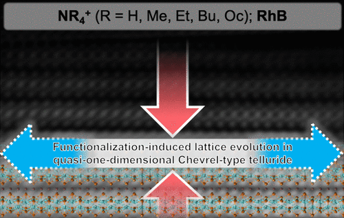Functionalization and Structural Evolution of Conducting Quasi-One-Dimensional Chevrel-Type Telluride Nanocrystals