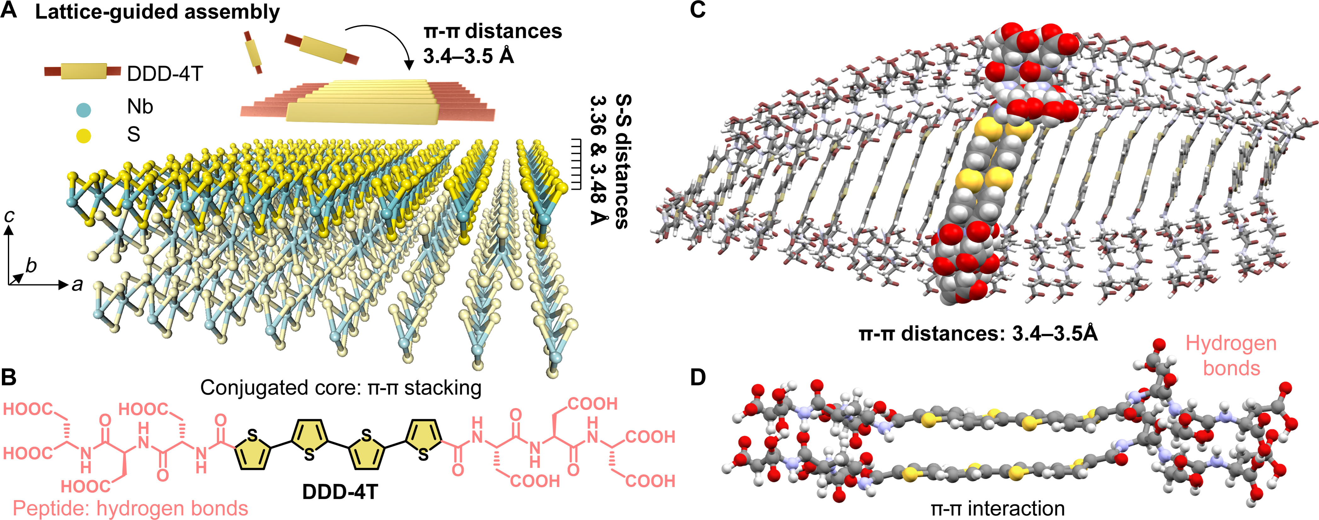 Lattice-guided assembly of optoelectronically active π-conjugated peptides on 1D van der Waals single crystals
