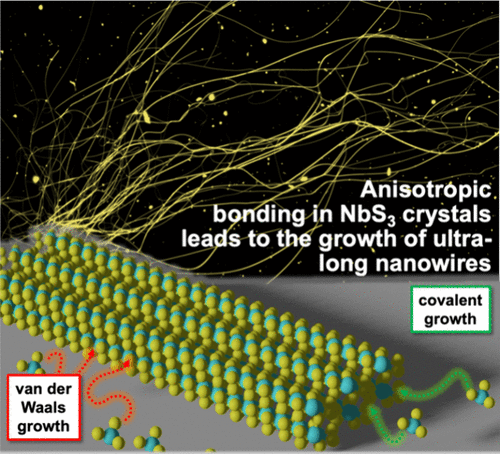 Bonding-Directed Crystallization of Ultra-Long One-Dimensional NbS3 van der Waals Nanowires